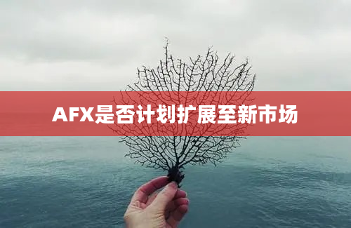 AFX是否计划扩展至新市场