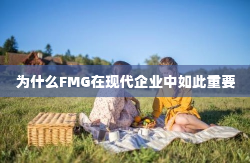 为什么FMG在现代企业中如此重要