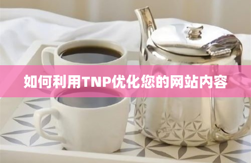 如何利用TNP优化您的网站内容