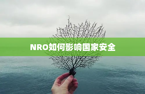 NRO如何影响国家安全