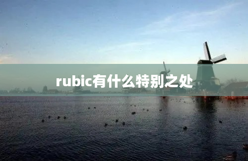 rubic有什么特别之处