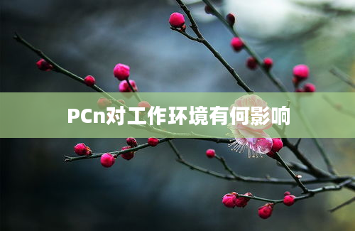 PCn对工作环境有何影响