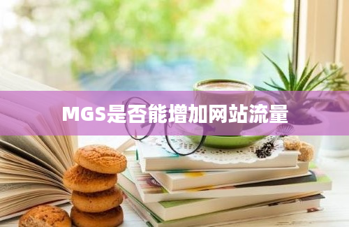 MGS是否能增加网站流量