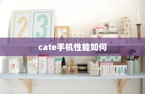 cate手机性能如何