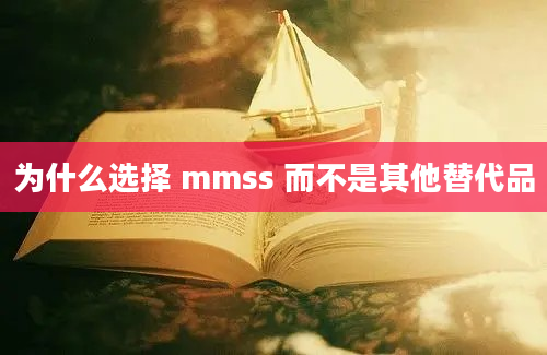 为什么选择 mmss 而不是其他替代品