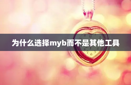 为什么选择myb而不是其他工具