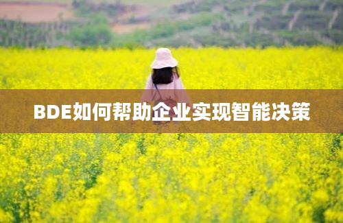 BDE如何帮助企业实现智能决策