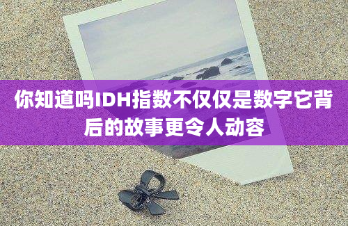 你知道吗IDH指数不仅仅是数字它背后的故事更令人动容