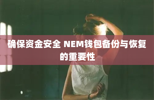 确保资金安全 NEM钱包备份与恢复的重要性