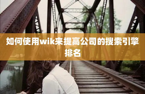 如何使用wik来提高公司的搜索引擎排名