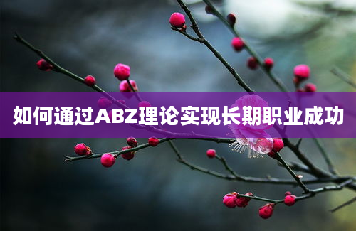 如何通过ABZ理论实现长期职业成功