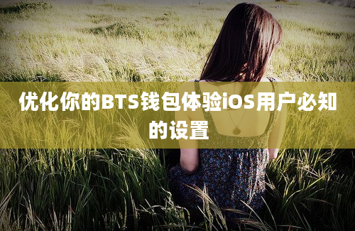 优化你的BTS钱包体验iOS用户必知的设置