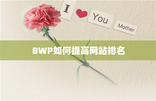 BWP如何提高网站排名