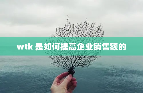 wtk 是如何提高企业销售额的