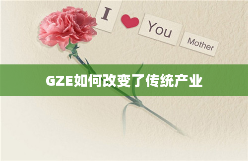 GZE如何改变了传统产业