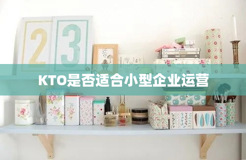 KTO是否适合小型企业运营