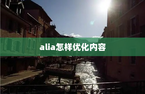 alia怎样优化内容