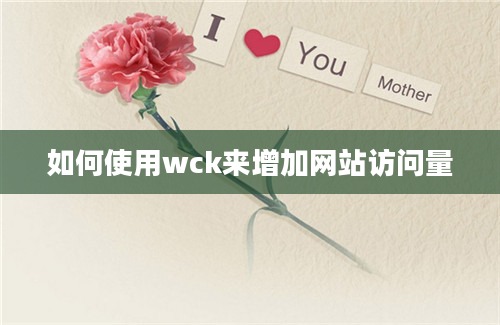 如何使用wck来增加网站访问量