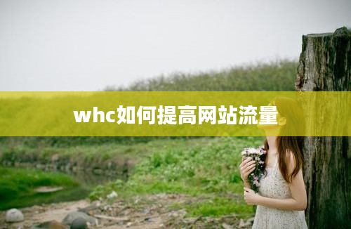 whc如何提高网站流量