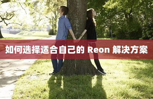 如何选择适合自己的 Reon 解决方案