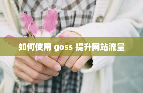 如何使用 goss 提升网站流量