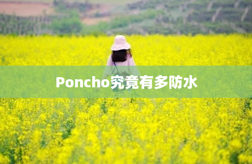 Poncho究竟有多防水