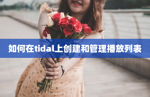 如何在tidal上创建和管理播放列表