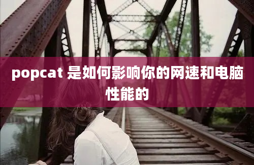 popcat 是如何影响你的网速和电脑性能的