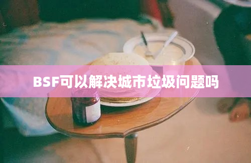 BSF可以解决城市垃圾问题吗