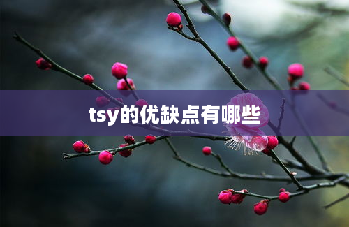 tsy的优缺点有哪些