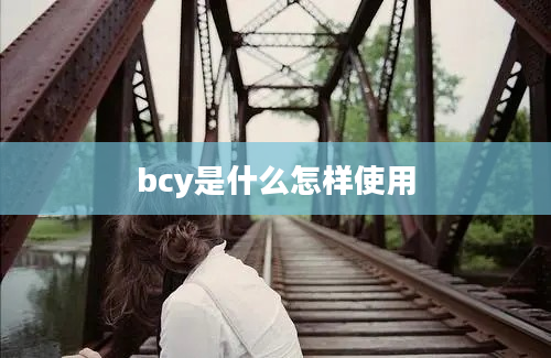 bcy是什么怎样使用