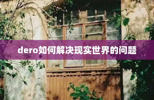 dero如何解决现实世界的问题