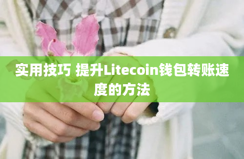 实用技巧 提升Litecoin钱包转账速度的方法