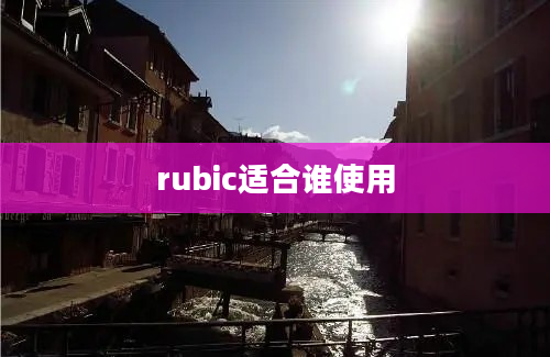 rubic适合谁使用