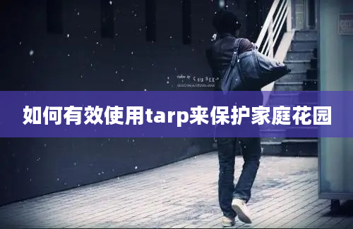 如何有效使用tarp来保护家庭花园