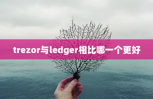 trezor与ledger相比哪一个更好