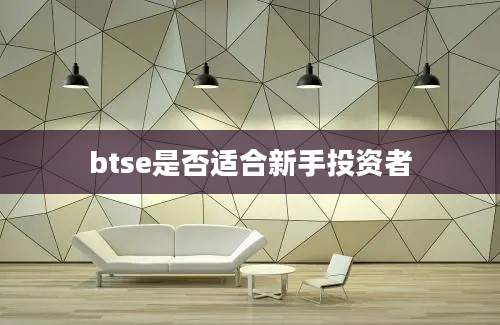 btse是否适合新手投资者