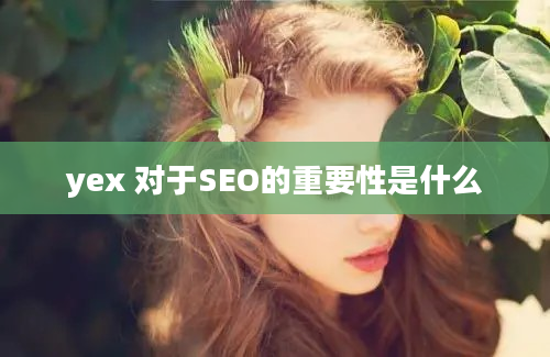 yex 对于SEO的重要性是什么