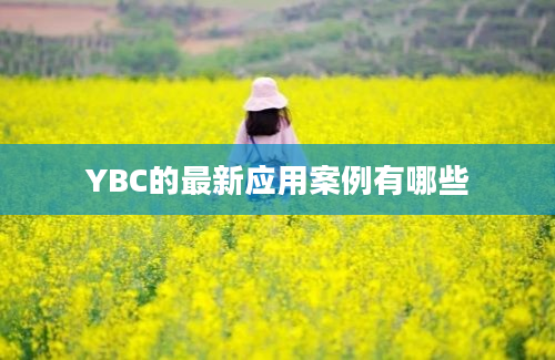 YBC的最新应用案例有哪些