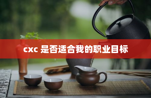 cxc 是否适合我的职业目标