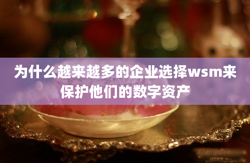 为什么越来越多的企业选择wsm来保护他们的数字资产