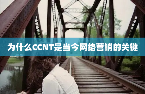 为什么CCNT是当今网络营销的关键