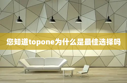 您知道topone为什么是最佳选择吗