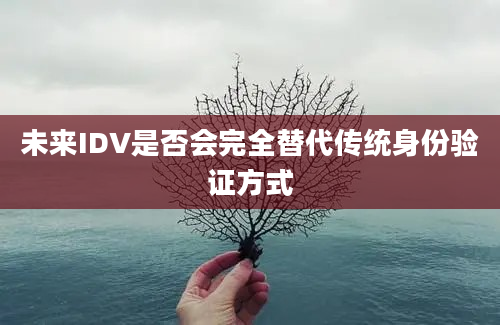 未来IDV是否会完全替代传统身份验证方式