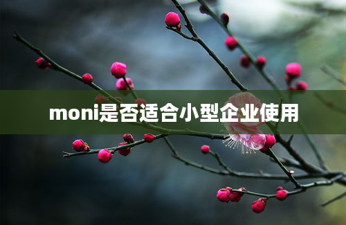 moni是否适合小型企业使用