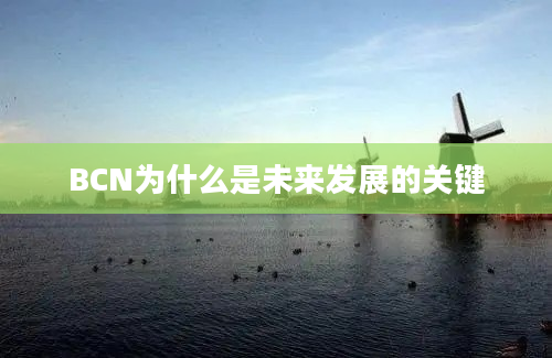 BCN为什么是未来发展的关键