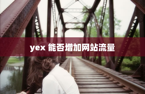 yex 能否增加网站流量