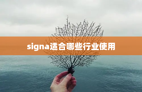 signa适合哪些行业使用