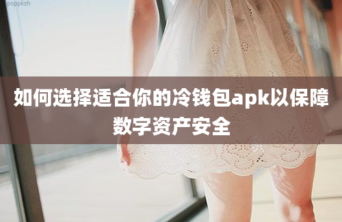 如何选择适合你的冷钱包apk以保障数字资产安全