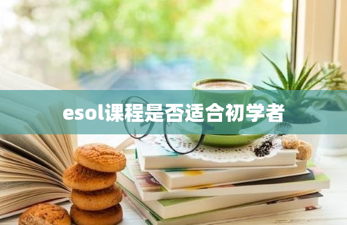 esol课程是否适合初学者